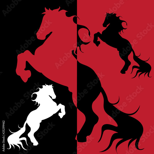 horse