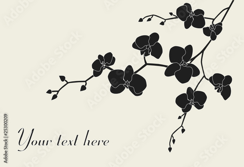Stylized orchid branch design with copy-space