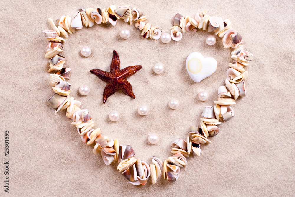 seashells in sand seashells in sand