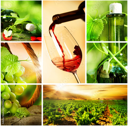 Wine.Beautiful Grapes Collage #25303625