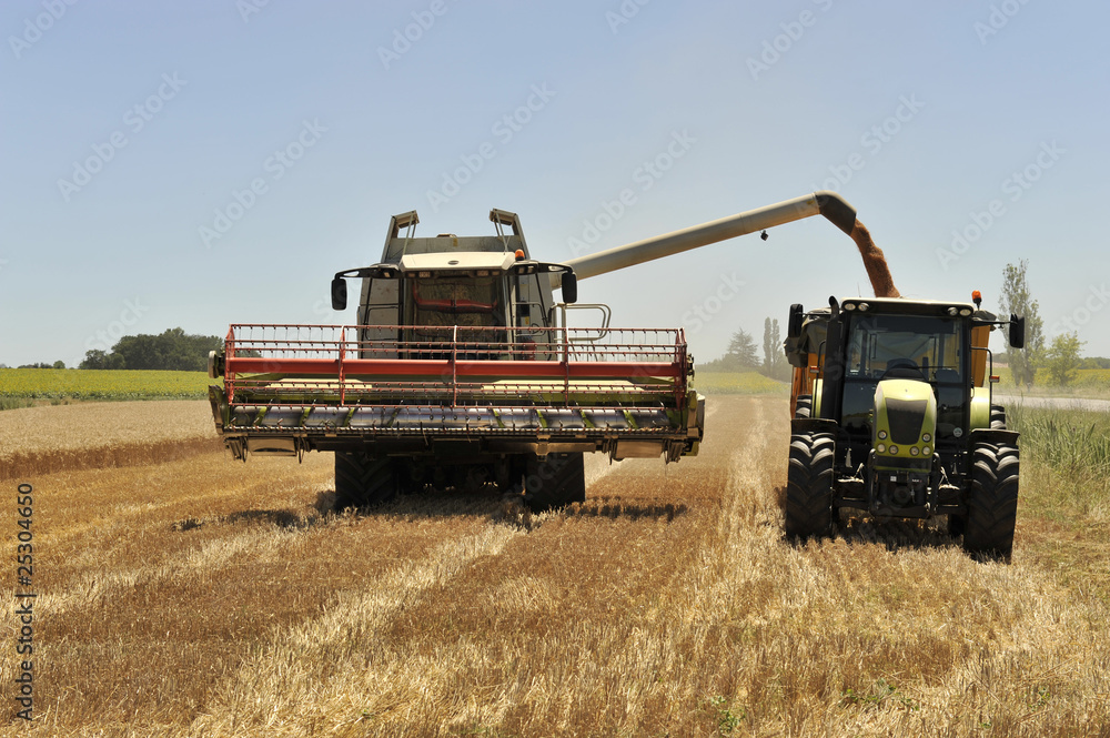 Obraz premium Moissoneuse-batteuse