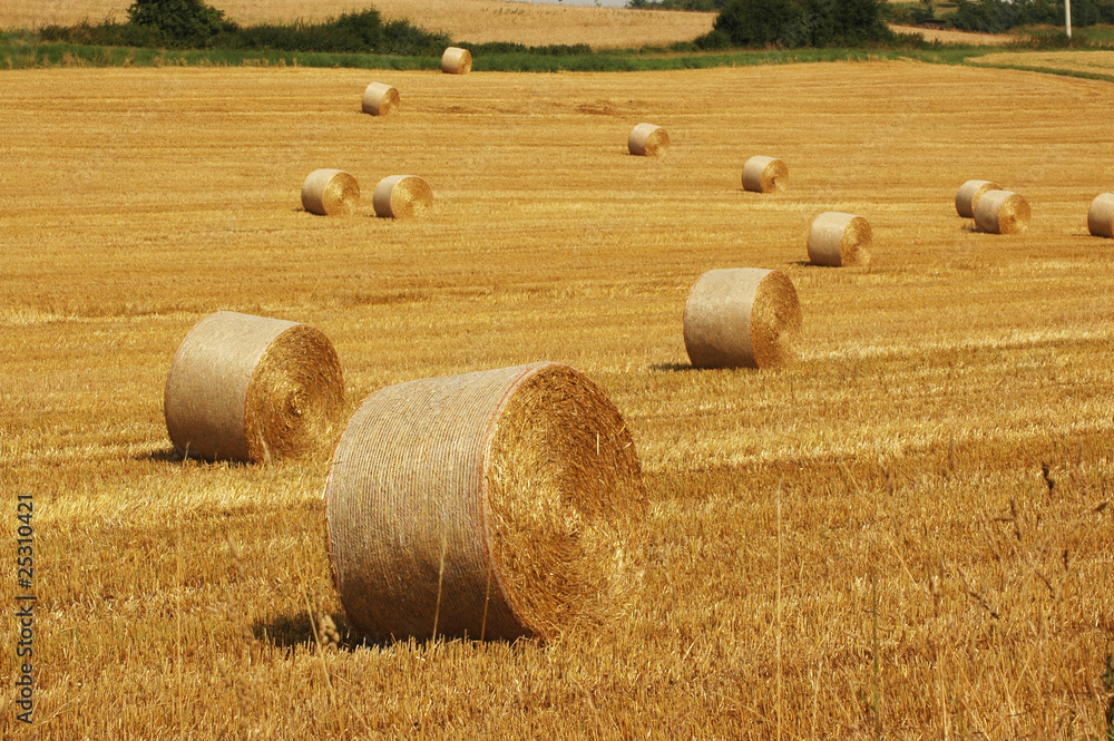 Bales of straw.