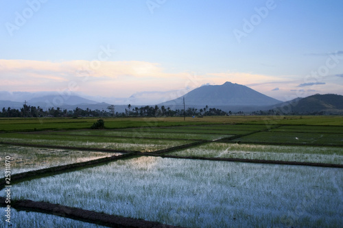 bicol rice paddies sunset philippines
