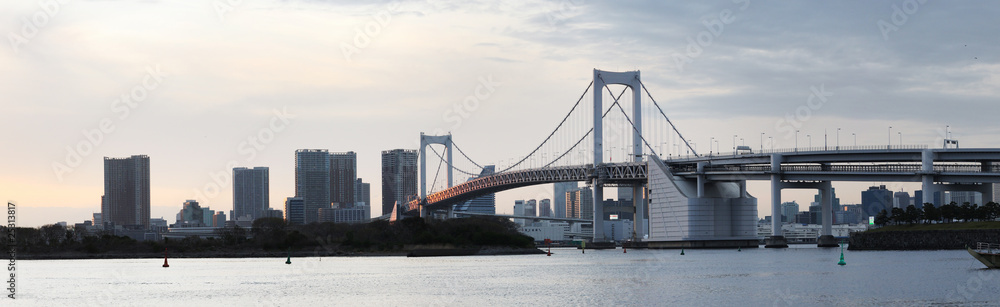 Naklejka premium panorama de la ville de Tokyo