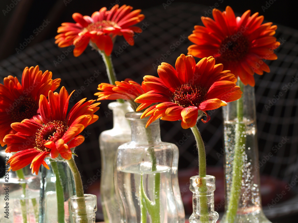 Obraz premium Gerbera in Blumenvasen