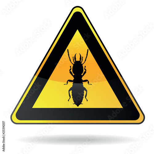 diagnostic termites