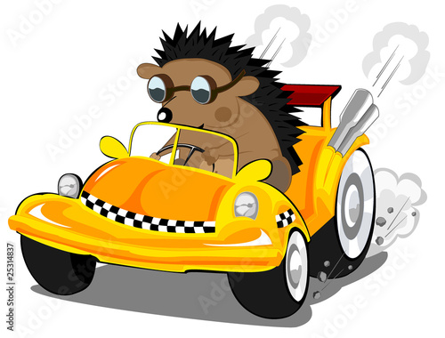 hedgehog the taxi driver