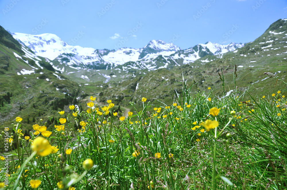 Fototapeta premium Weißseespitze - Kaunertal - Österreich