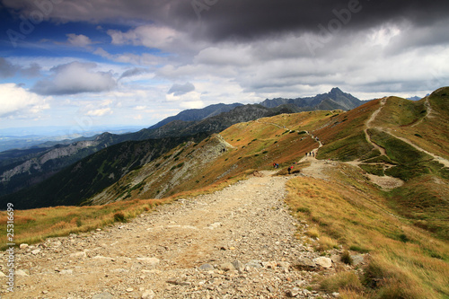 Fototapeta Naklejka Na Ścianę i Meble -  Piasek