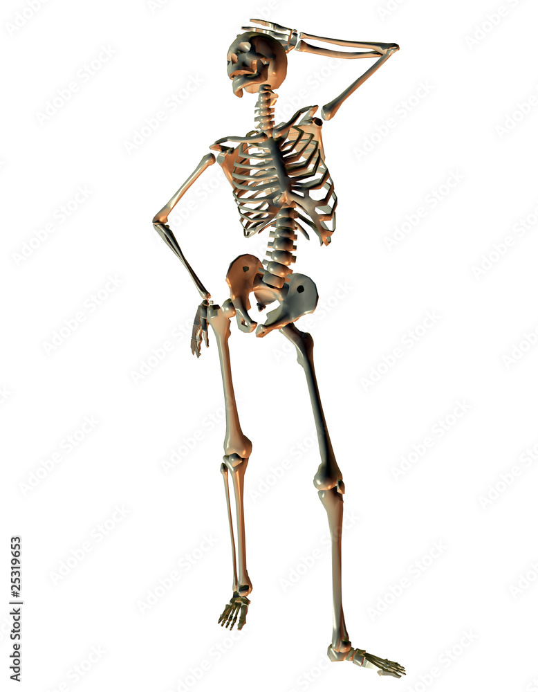 Skelett in Model Pose Stock Illustration | Adobe Stock