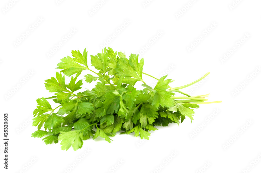 Parsley Parsley