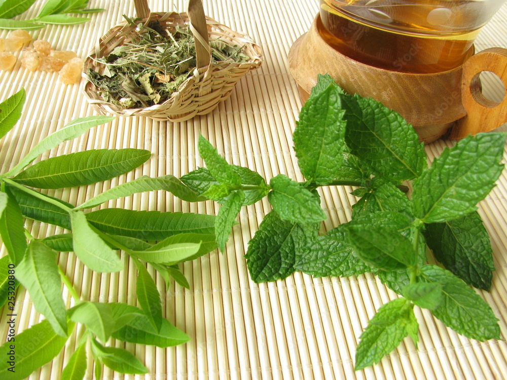 Tee mit Zitronenverbene und Marokko-Minze Stock-Foto | Adobe Stock Tee mit Zitronenverbene und Marokko-Minze Stock-Foto | Adobe Stock