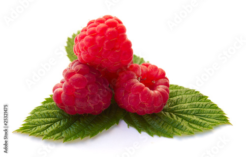 ripe raspberries on leaves