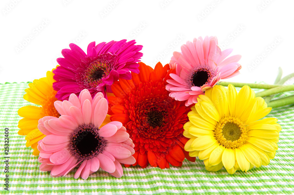 Colorful flowers Colorful flowers