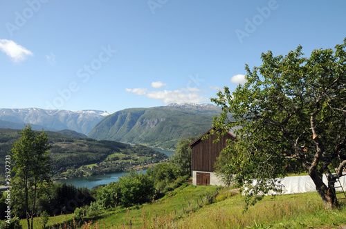 View over Hardangerfjord, Norway