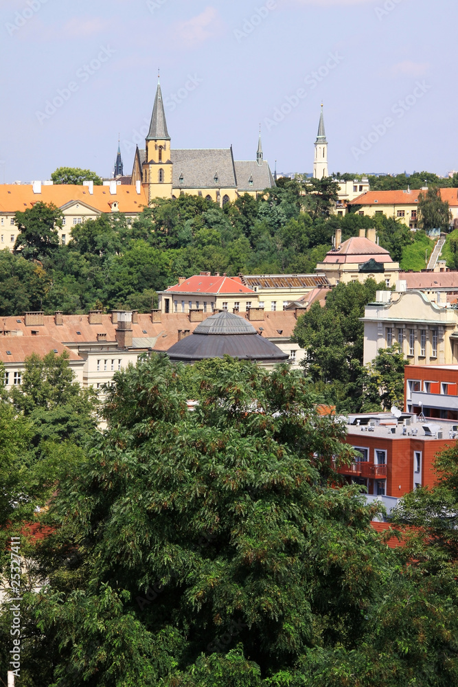 The View on summer Prague from fortress Vysehrad