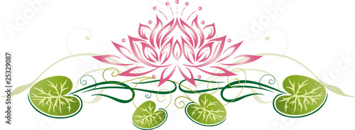 Lotus, Lotusblüte, Wellness, Seerose, Rose, Yoga