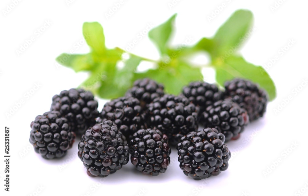 Blackberries - More Blackberries - More