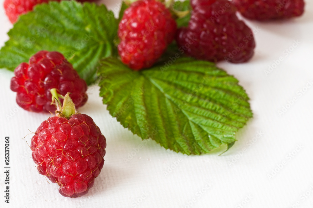 framboises framboises