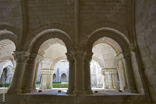 france; 85; marais poitevin,nieul sur l'autise : abbaye saint vi