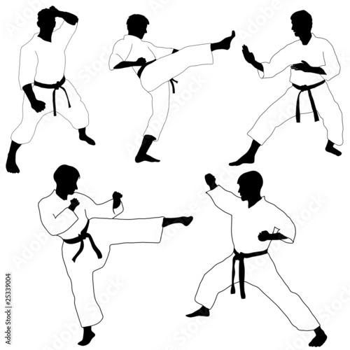 Karate pose-