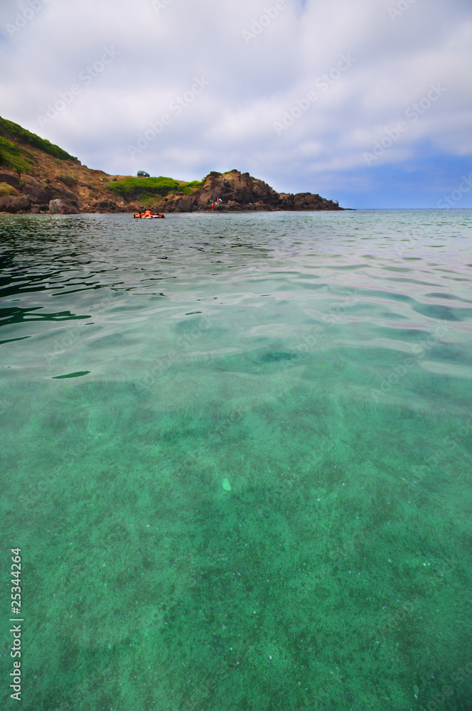 Fototapeta premium seashore with waves and foam