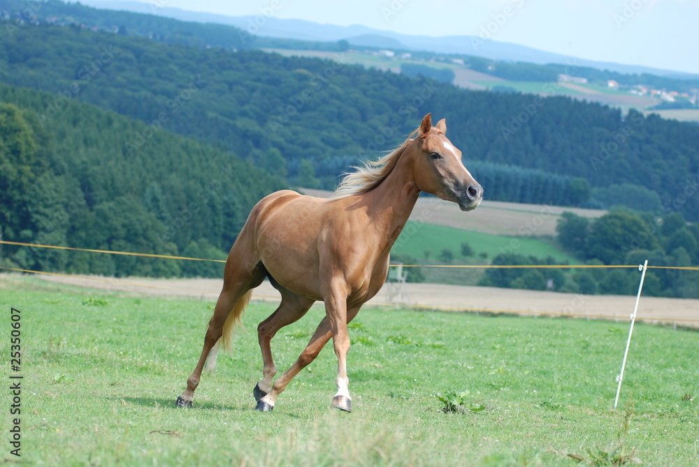 Silver in Schräglage