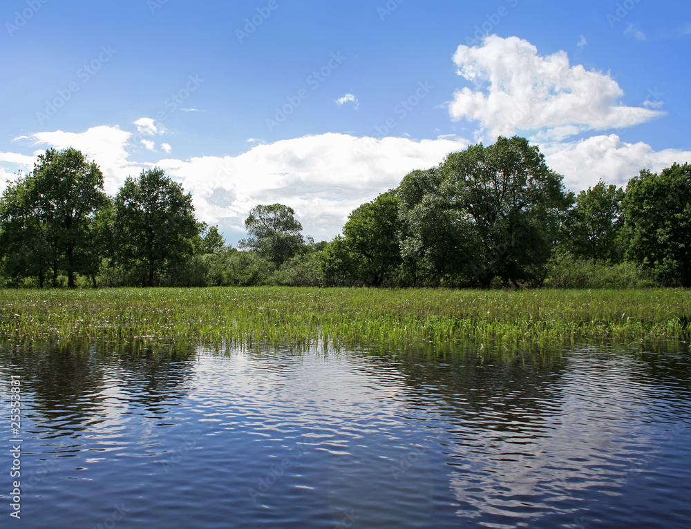 Fototapeta premium Wetlands landscape in National Park in Belarus