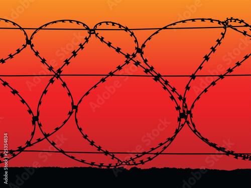 Barbed wire