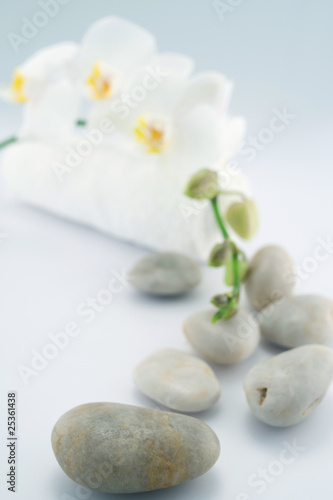 Stone with orchid and towel