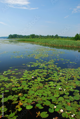 Beutyful lakes and forests of Uusimaa region in Finland