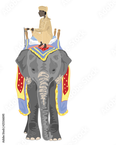 Принти на полотні elephant and mahout