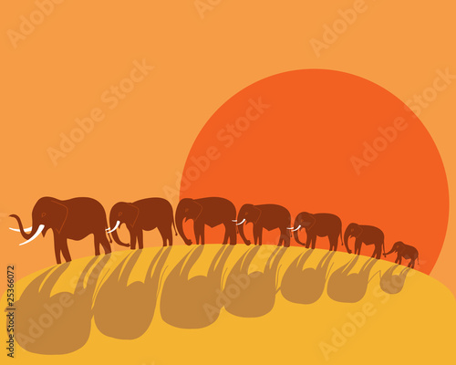 elephants