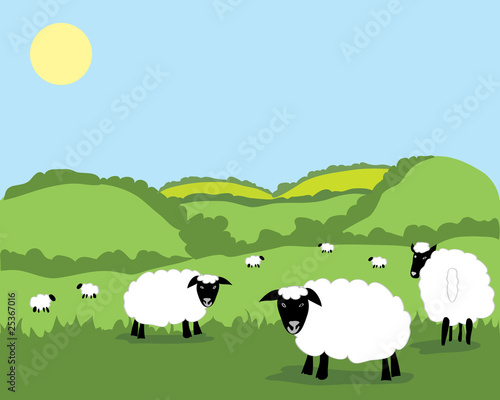 Obraz na płótnie sheep w salonie