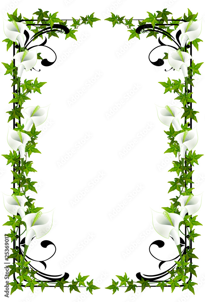 Obraz premium Lilienrahmen (mit Clippfad)