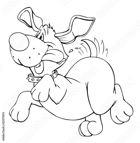 Hund, Freude, springen, sabbern, freuen, glücklich