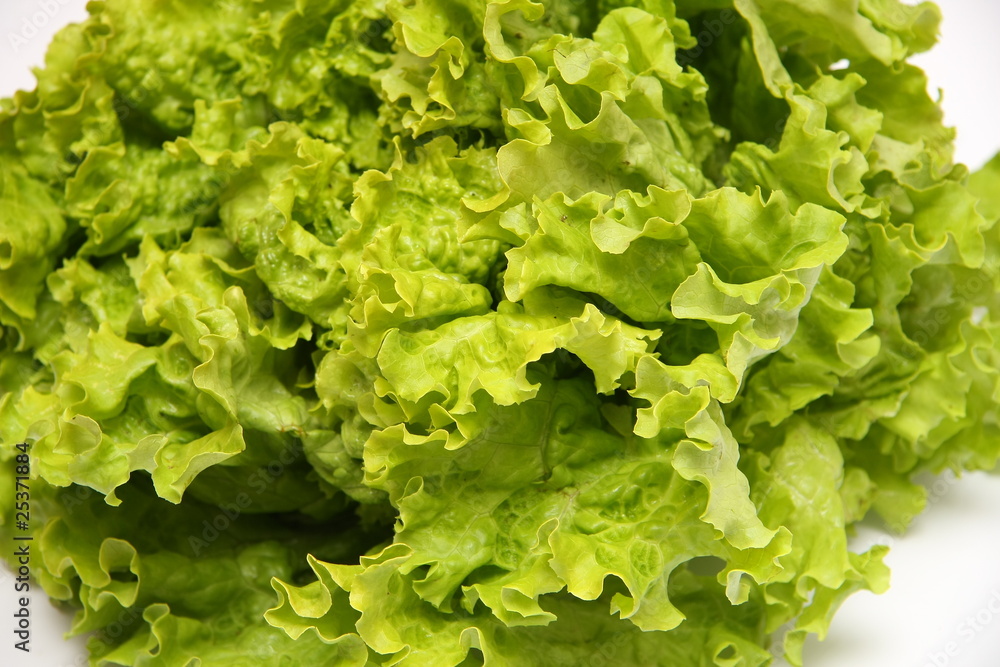 salade salade