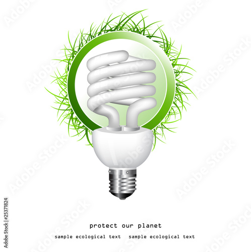 economical bulb vector