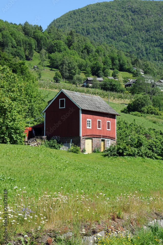 Farm above Hardangerfjord, Norway