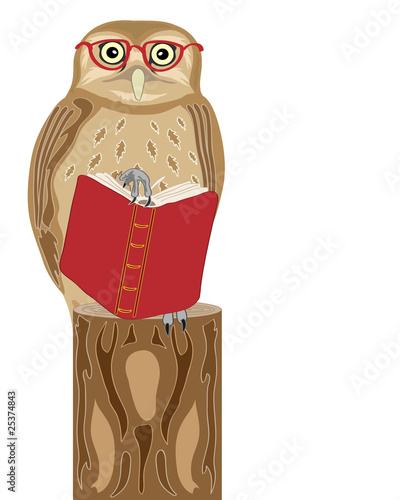 wise owl