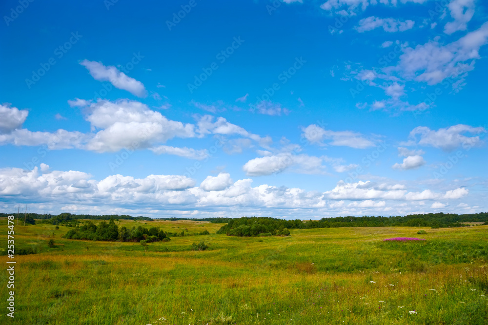 summer landscape