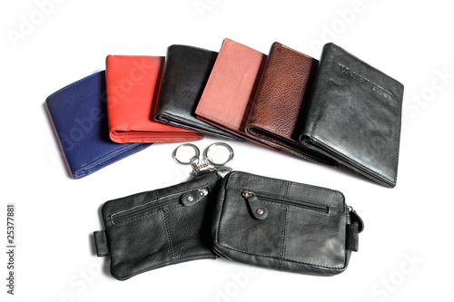 Wallet and pouches