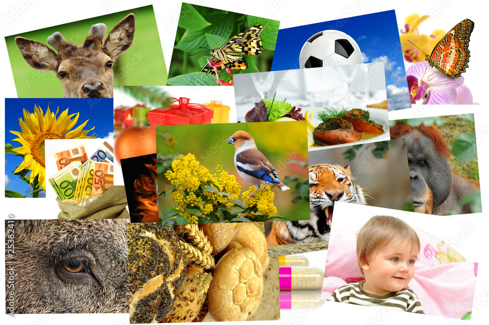 Obraz premium Fotogalerie 7