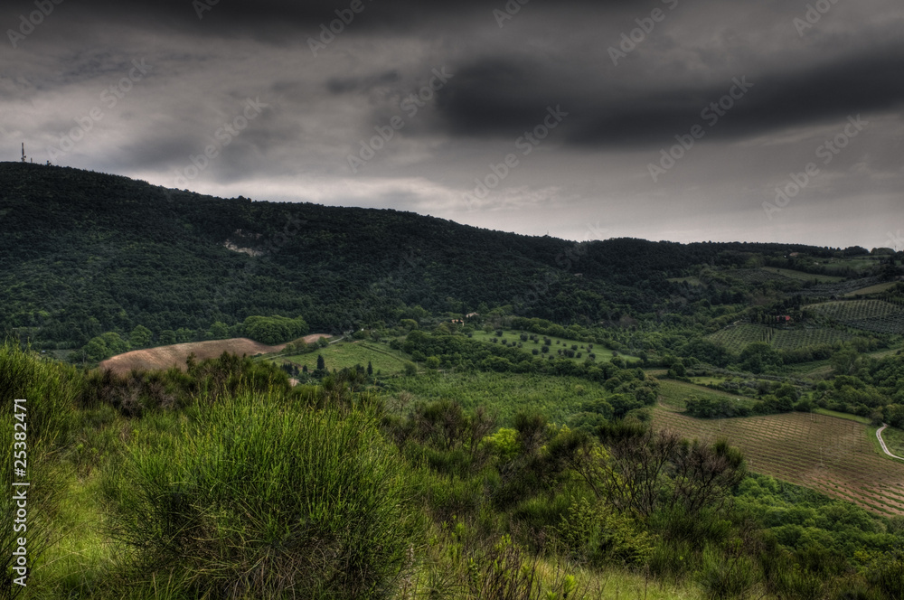 Naklejka premium Paesaggio collinare marchigiano