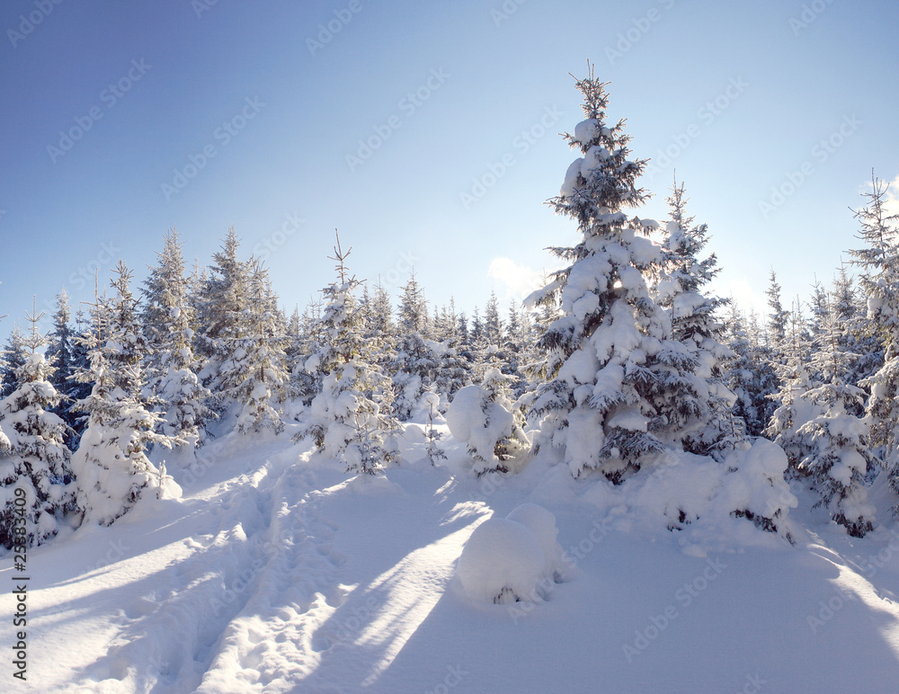 winter in mountains winter in mountains