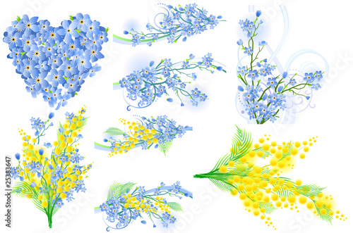 Forget-me-not design elements
