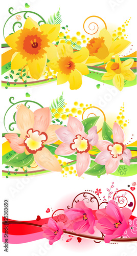 Three beautiful floral elements with daffodils and orchids