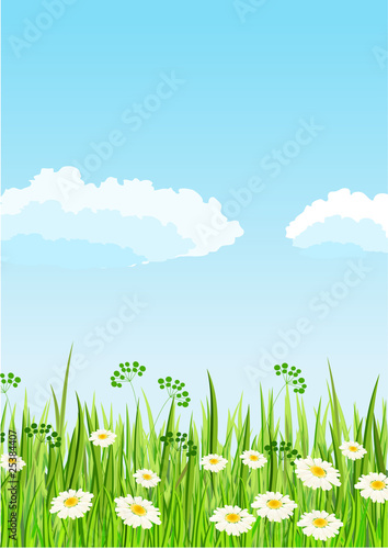 Green meadow and blue sky