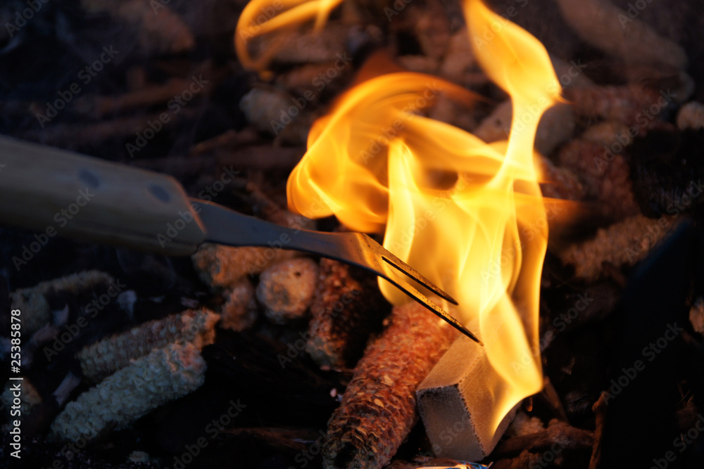 Fototapeta premium BARBECUE