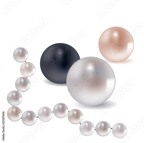 Vector collection of different pearls